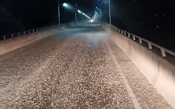 湖南益阳沅江现密密麻麻白色飞虫 专家称是蜉蝣 