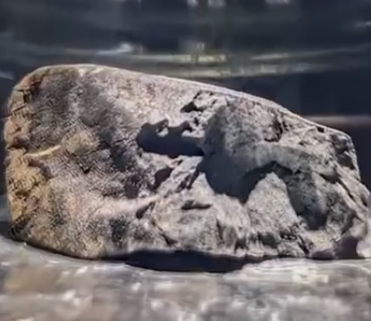 坠落英国的陨石中发现地外水 与地球的海水成分相似