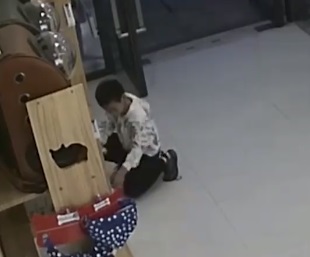 男孩放跑客户寄存的猫 店主称猫值20000元