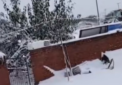 辽宁彰武康平等多地大雪纷飞 外出注意安全