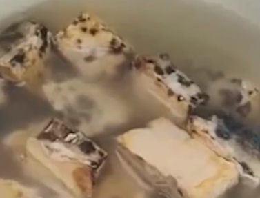 长沙女子在家自制霉豆腐长黑毛 还能吃吗？