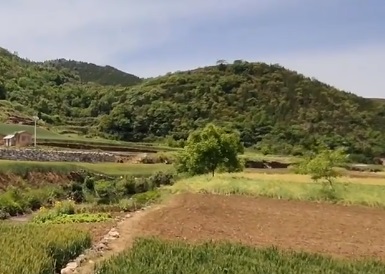 女子独居农村月入1千称很快乐 一个人种菜做饭