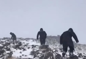 新疆暴风雪天气 有牛羊冻死走失牧民失联