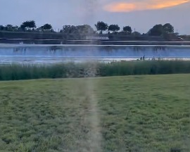 成都一草坪惊现上百条“蚊卷风” 是蚊子在交配